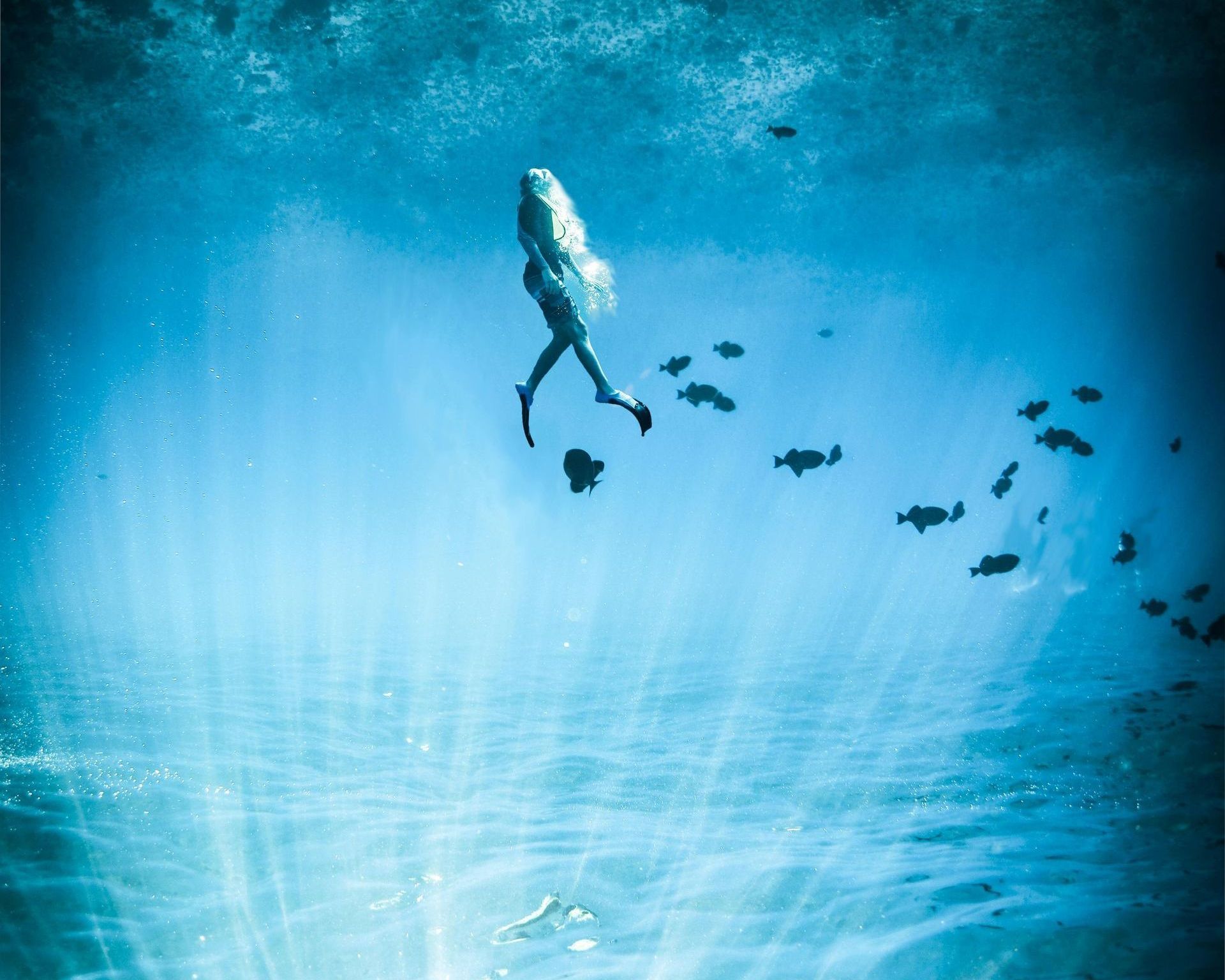 A woman is swimming underwater in the ocean surrounded by fish.