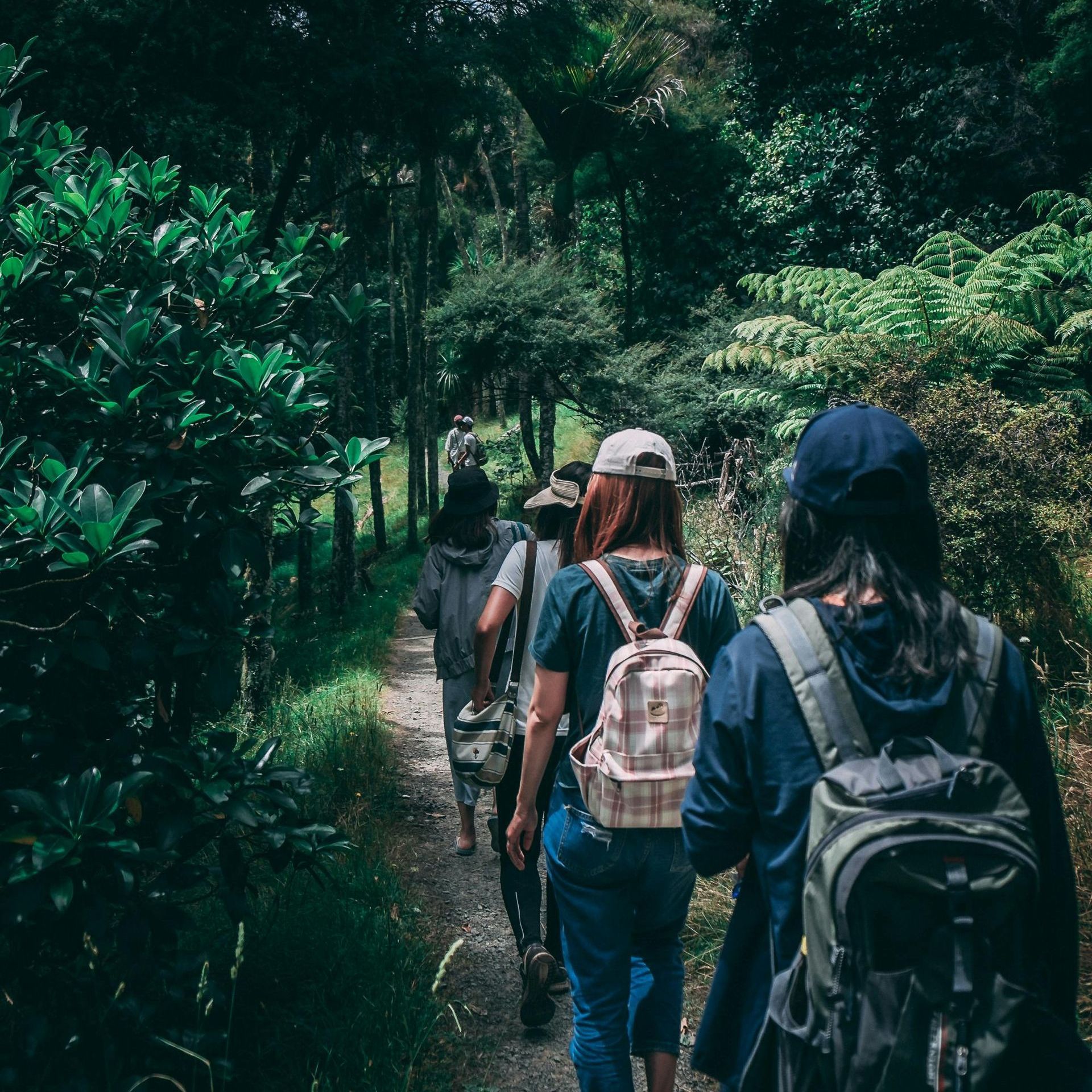 A group of people are walking down a path in the woods.