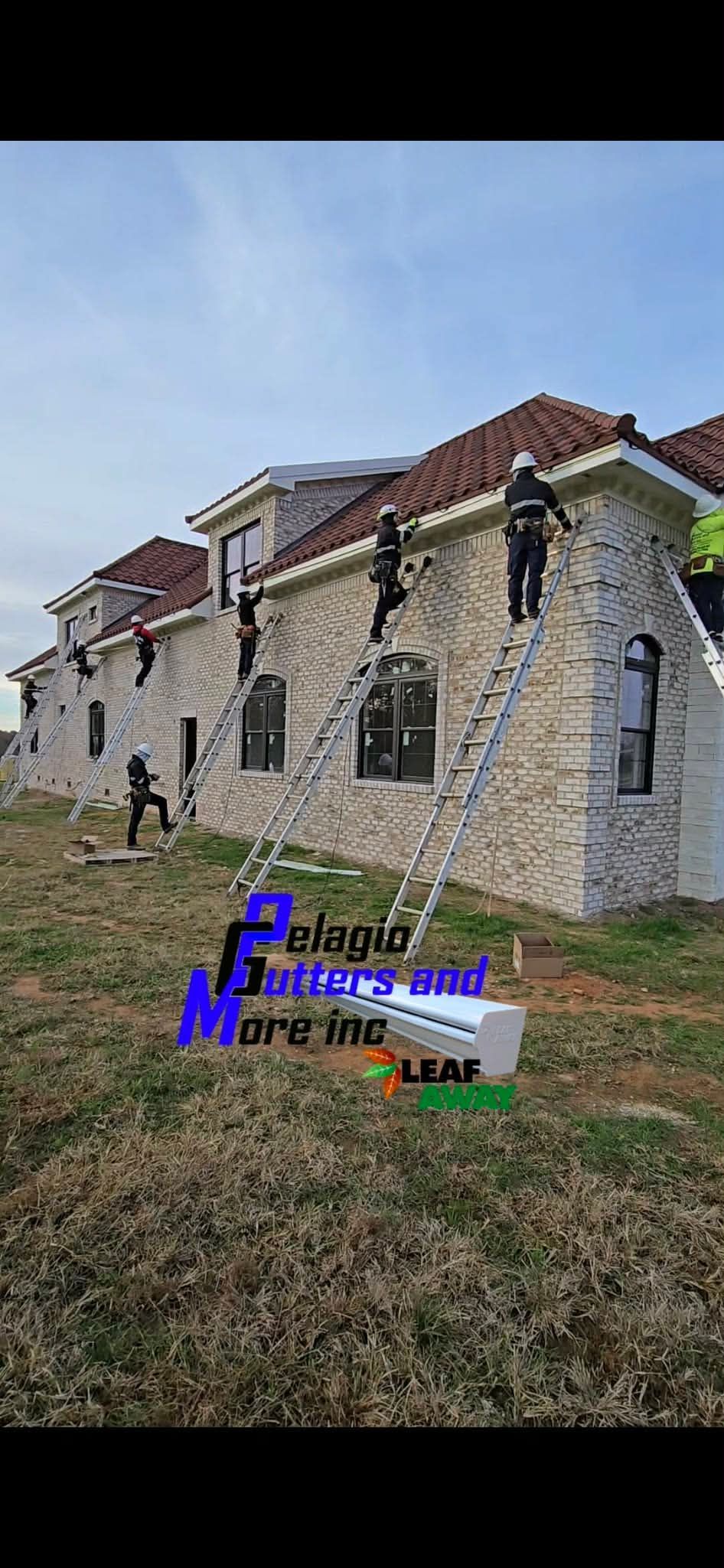 Workers on ladders cleaning a multi-story stone building. Green grass, blue sky background.