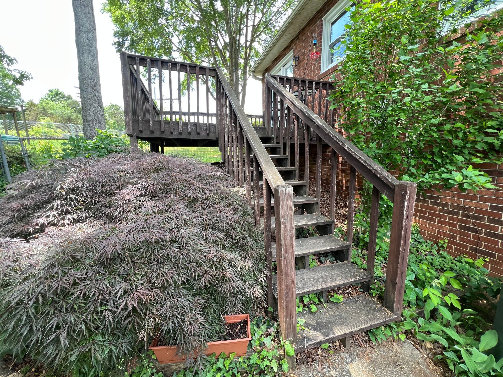 Wooden deck and stairs leading up to a house surrounded by greenery.