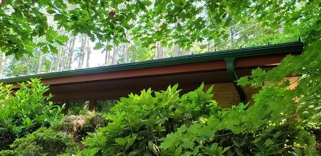 Green roof of a cabin surrounded by lush green foliage.