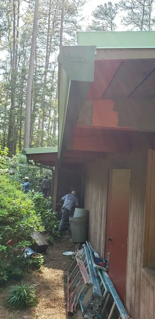 People near a building with a green roof, amongst trees. A ladder rests nearby.