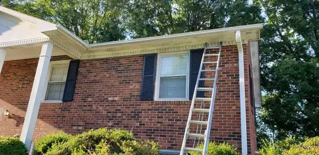 A ladder propped against a brick house for gutter cleaning, with trees in the background.