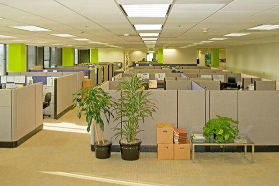A Large Empty Office With Cubicles — Attention to Detail Cleaning Services & Deck Coating Darwin in Casuarina, NT