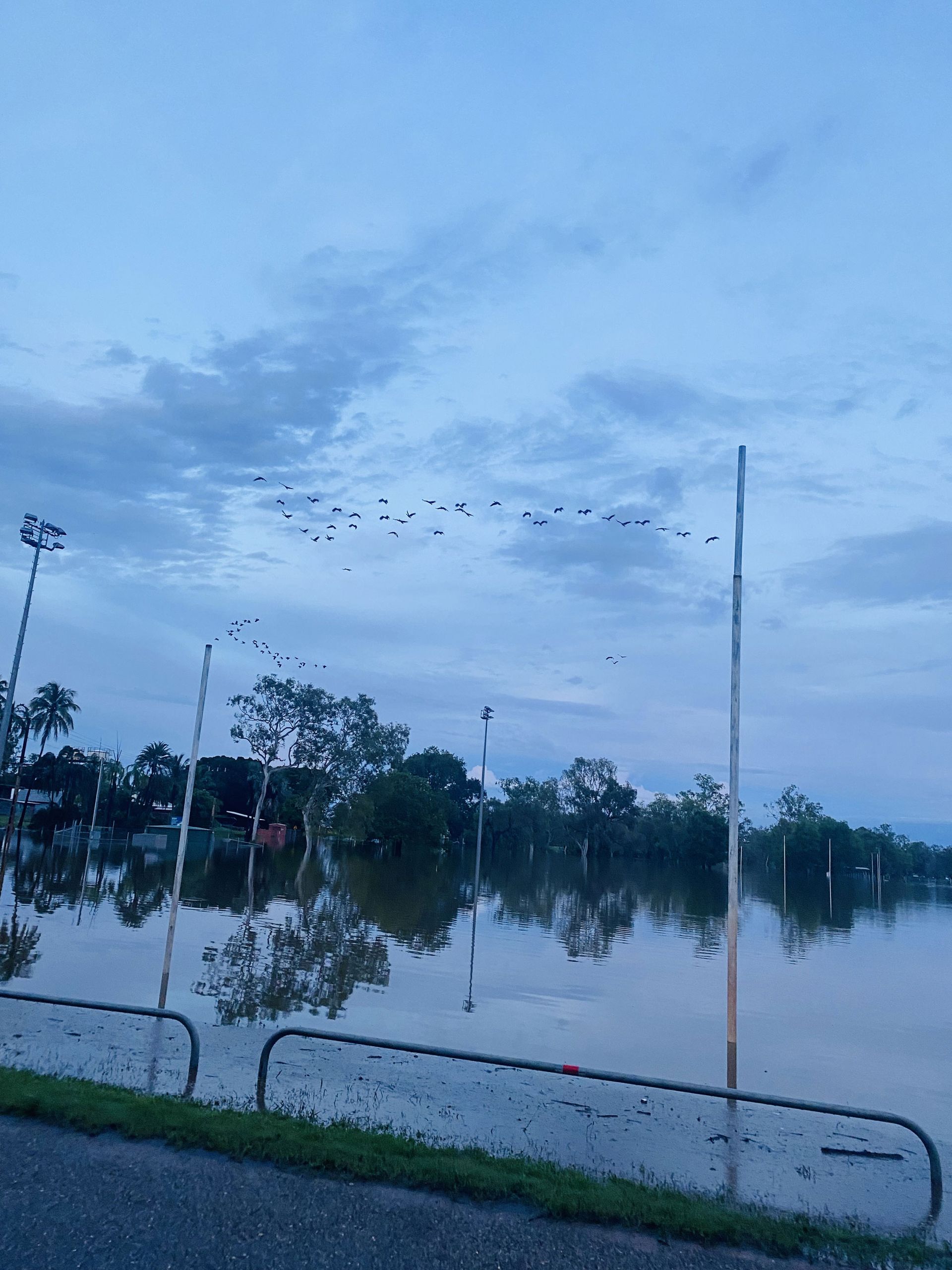 Flooded area, with water reflecting the cloudy sky, trees, and utility poles. A flock of birds flies across the sky.