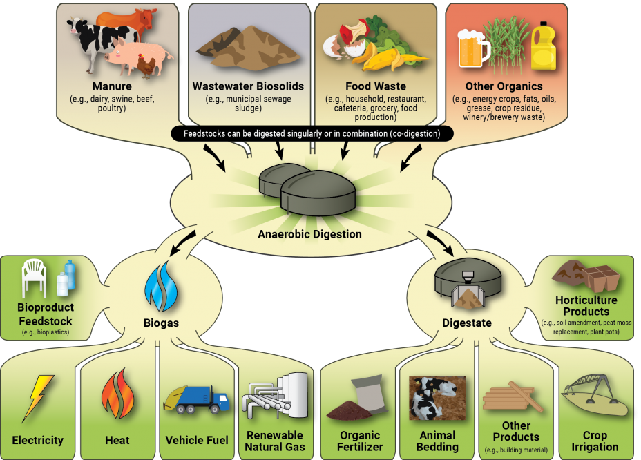 Anaerobic Digestion Schematic