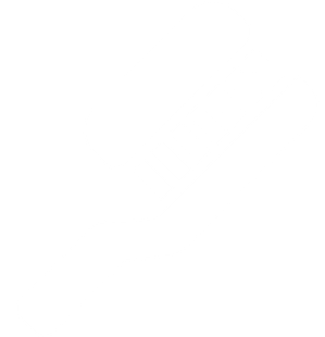 Icon of a toothbrush
