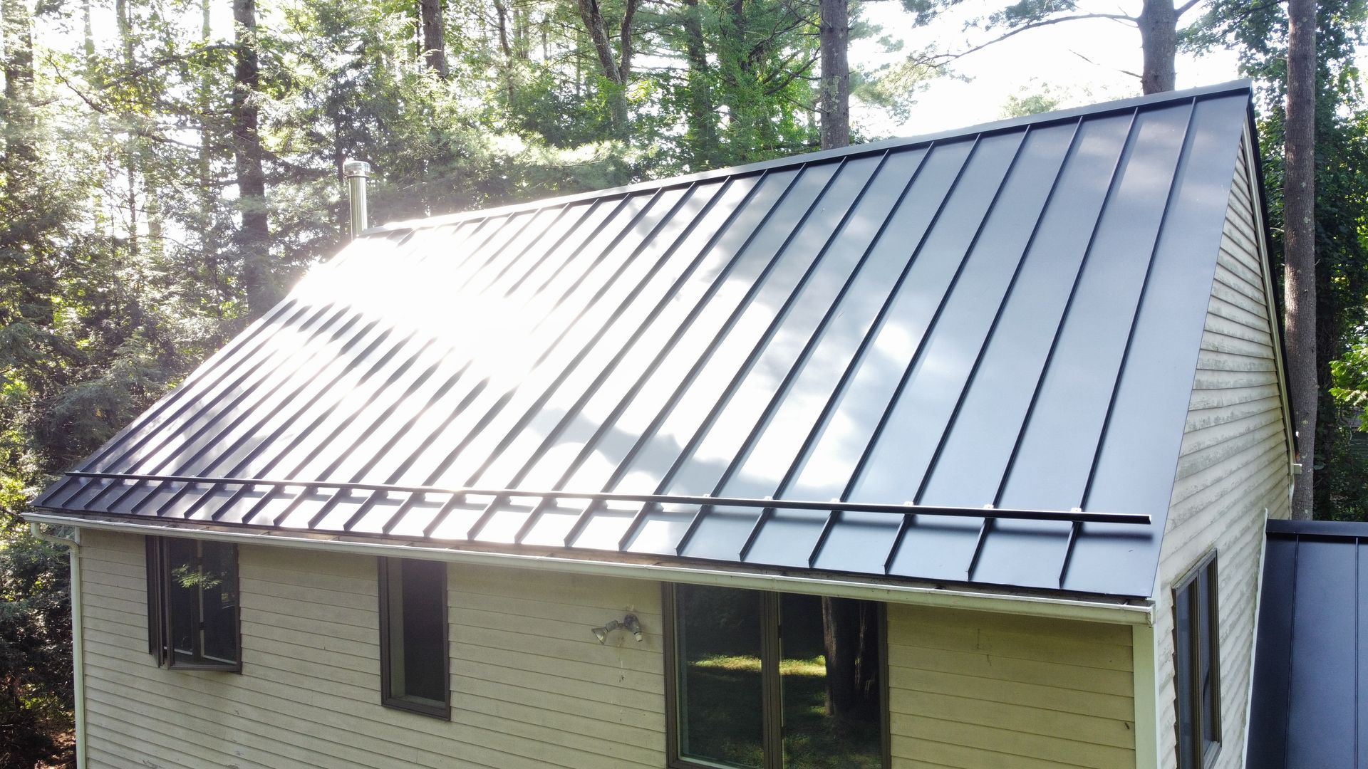 A house with a metal roof is surrounded by trees