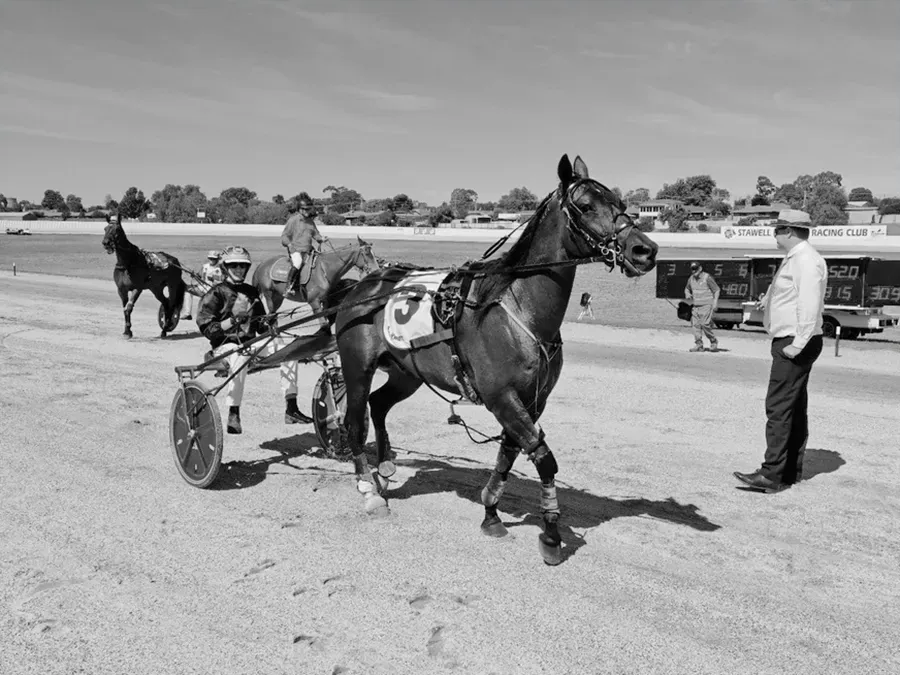 Harness Racing