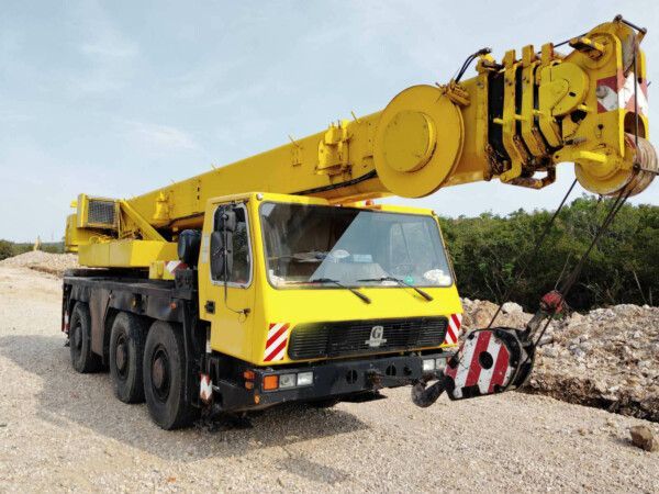 Gru usata sicura e garantita HLI Cranes