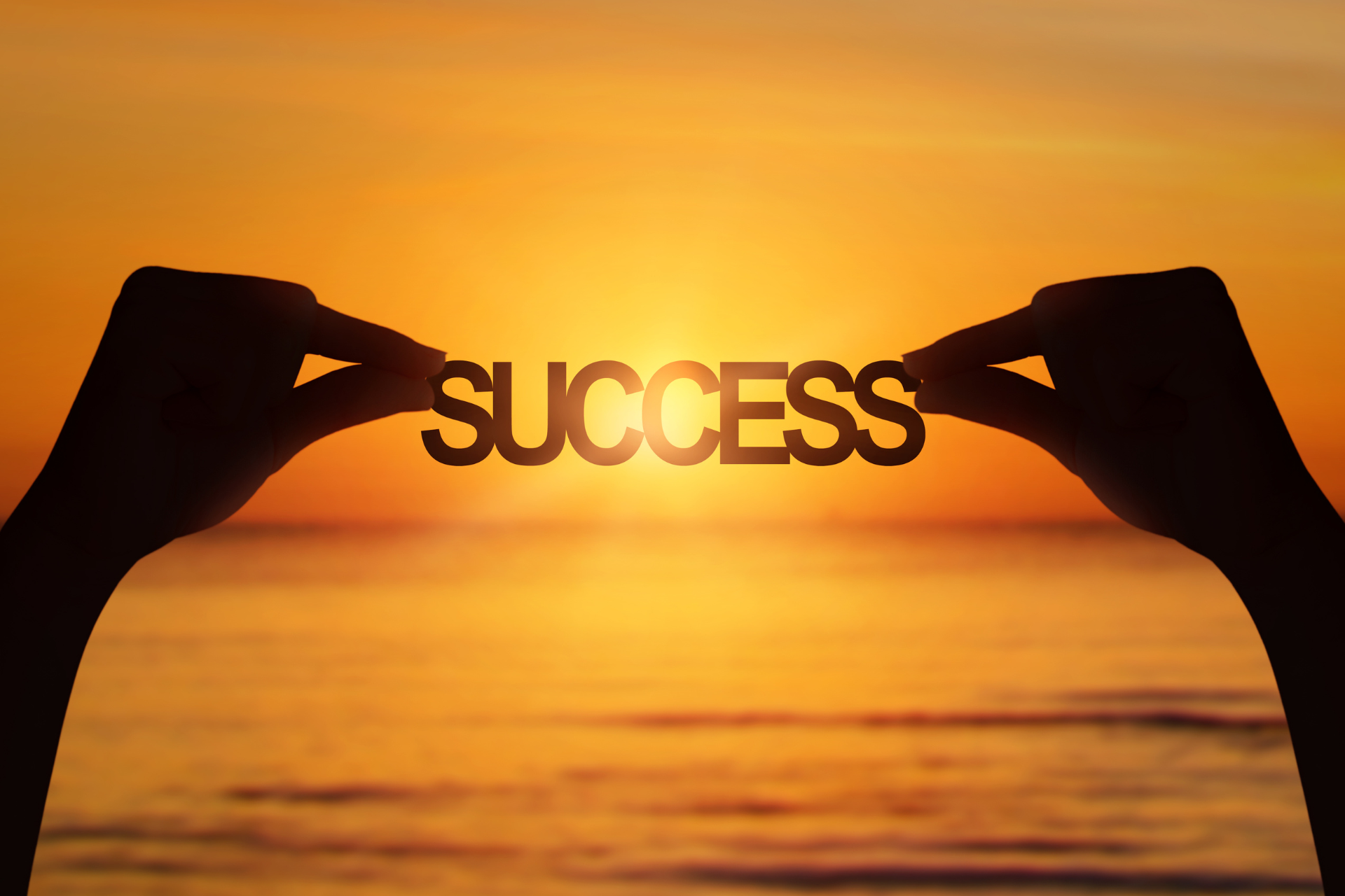 Customer success