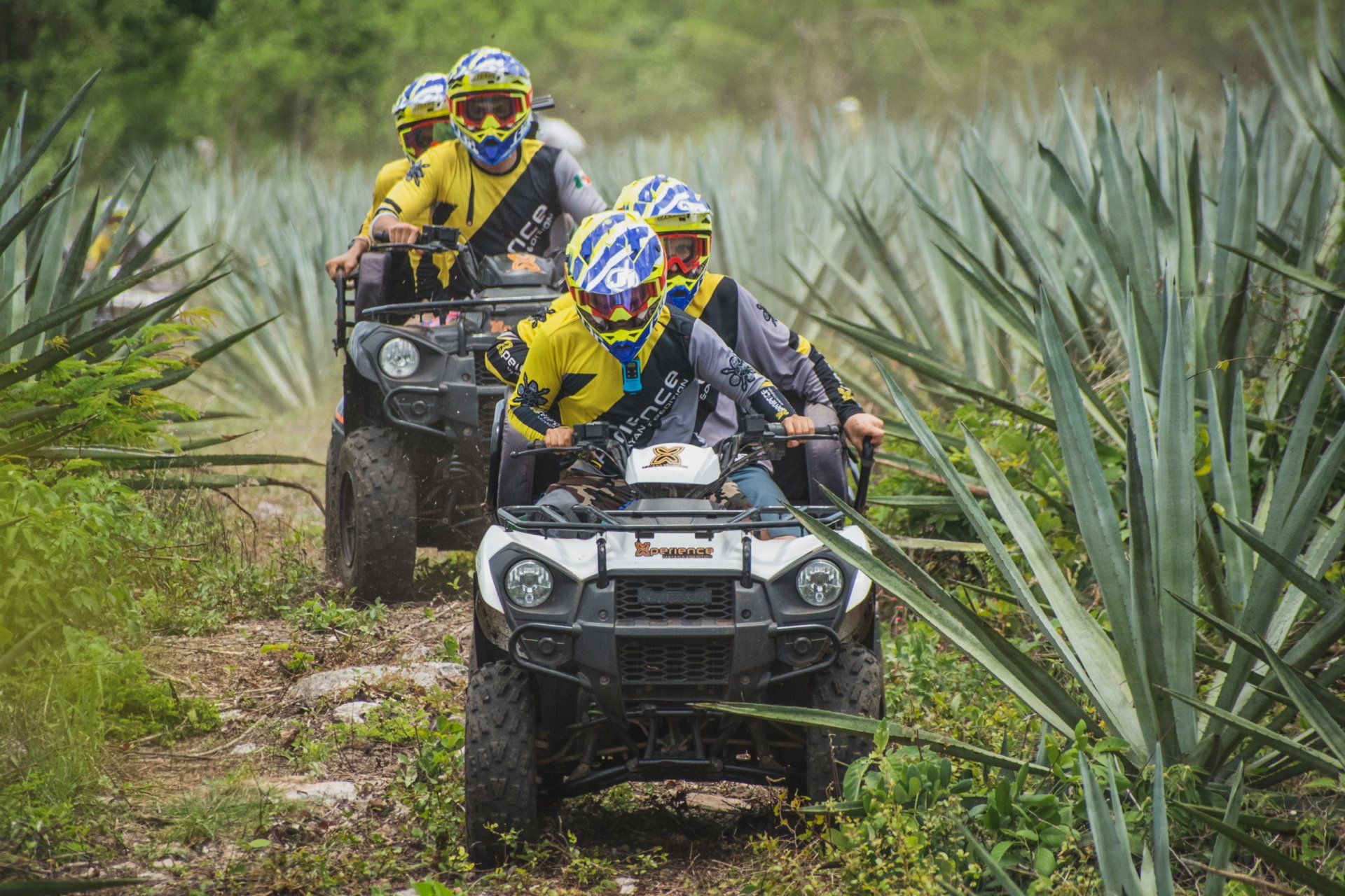 hacienda con cenote