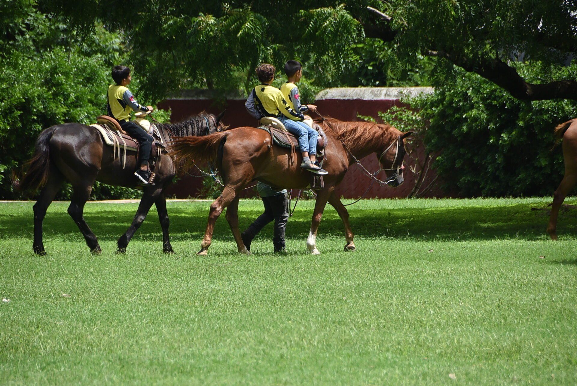 hacienda henequenera con cenote