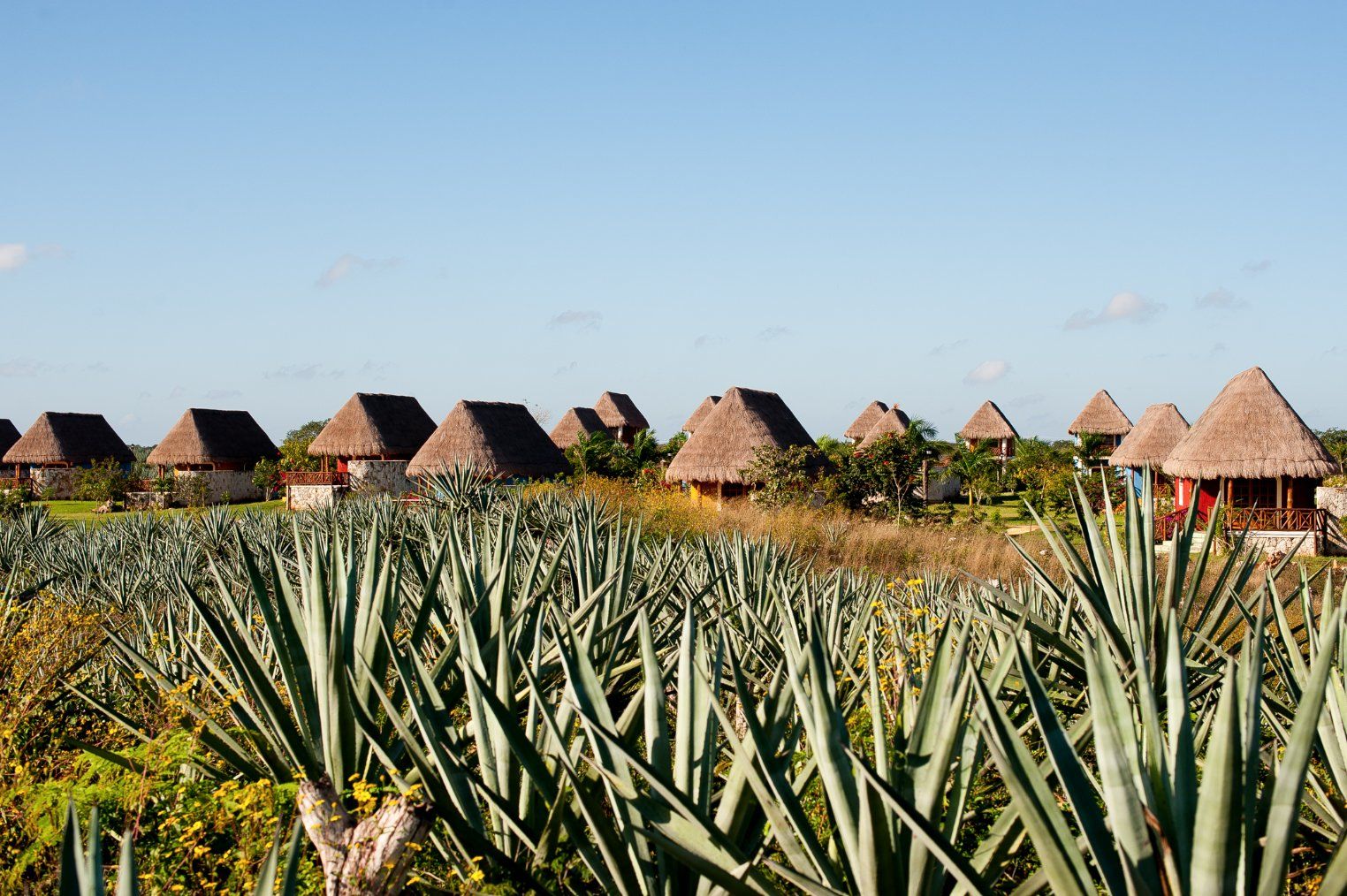 Hotel, hacienda, museo