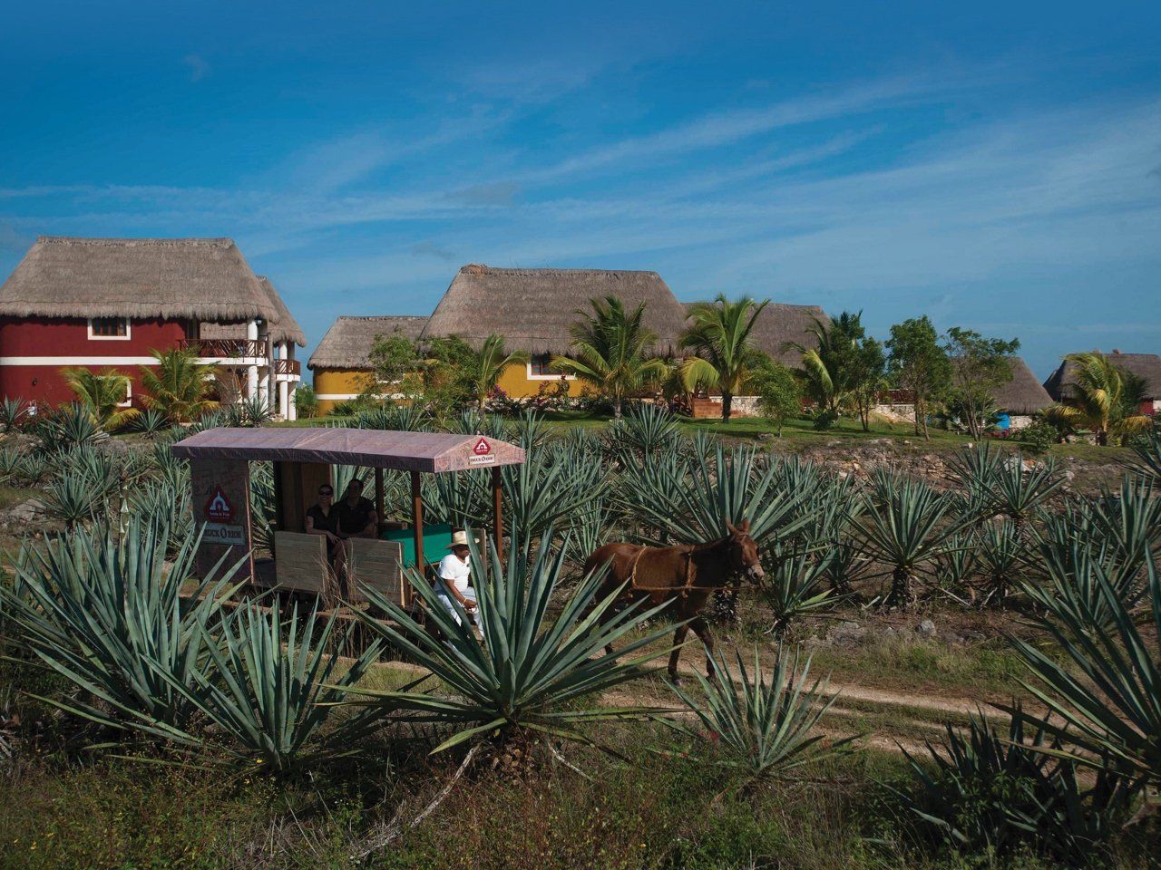Hotel con hacienda en Yucatán