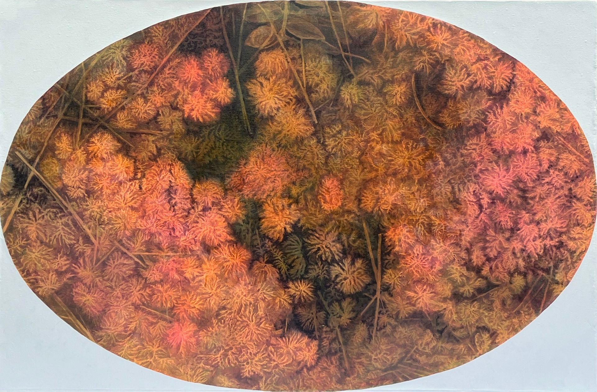 BOG BY CYNTHIA CAMLIN