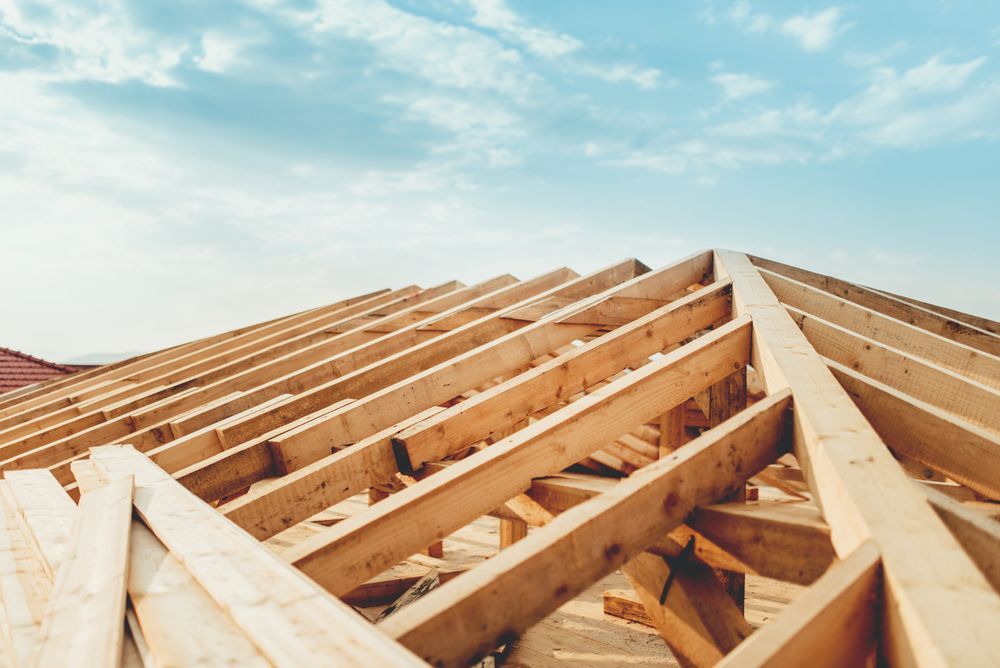A Wooden Roof is Being Built With a Blue Sky in the Background — Marshall Notaras Hardwoods Pty Ltd In Coffs Harbour, NSW