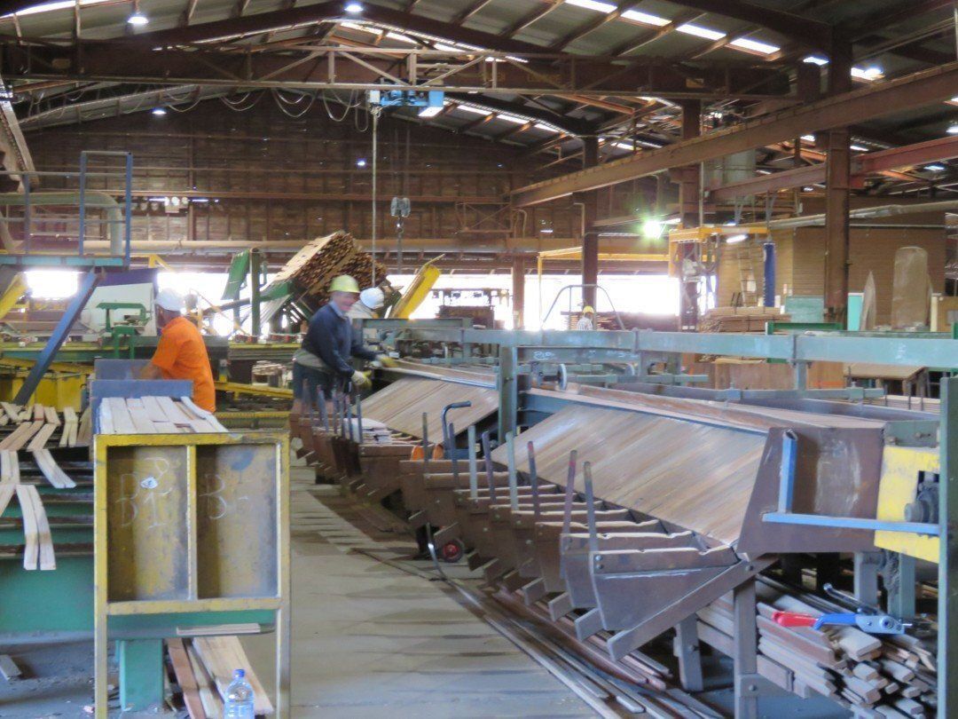A Man is Working on a Machine in a Factory — Marshall Notaras Hardwoods Pty Ltd In Brisbane, QLD