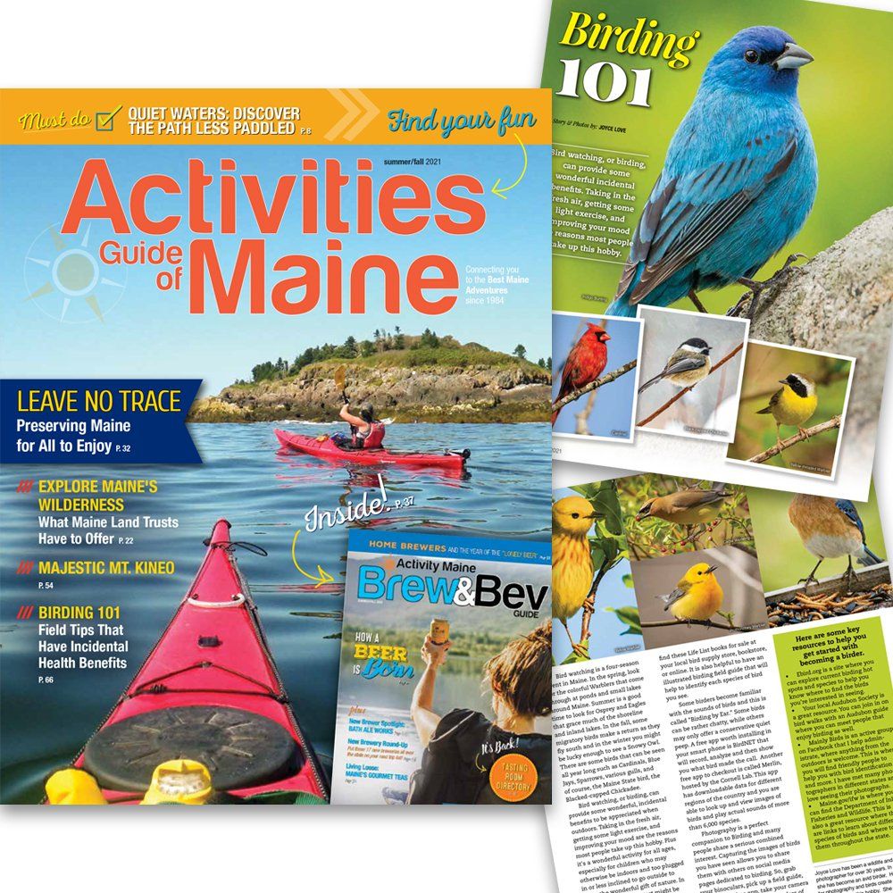 Image for custom magazine layout for Activities Guide of Maine, Maine Brew & Bev Guide, and Maine Health & Wellness Guide.