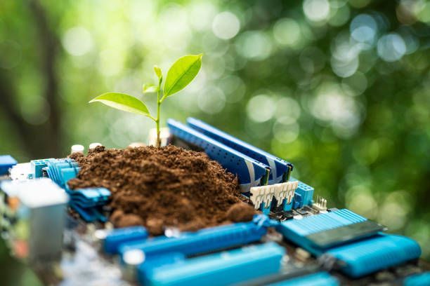 A small plant is growing out of a pile of dirt on top of a motherboard.