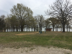 A field with trees and a shed in the background.