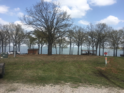 A field with trees and a body of water in the background.