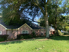 A brick house with a large tree in front of it.