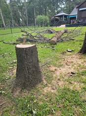 A tree stump is sitting in the grass in front of a house.