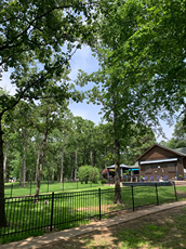 A house is surrounded by trees and a fence in a park.