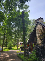 A man is cutting a tree in front of a house.