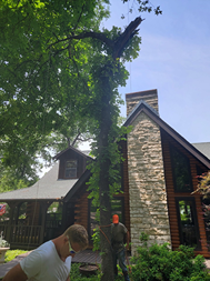 A man is cutting a tree in front of a log cabin.