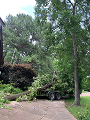 A tree that has fallen on a trailer in front of a house.