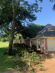 A tree has fallen on the roof of a house.