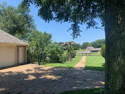 A driveway leading to a house with a tree in the foreground.