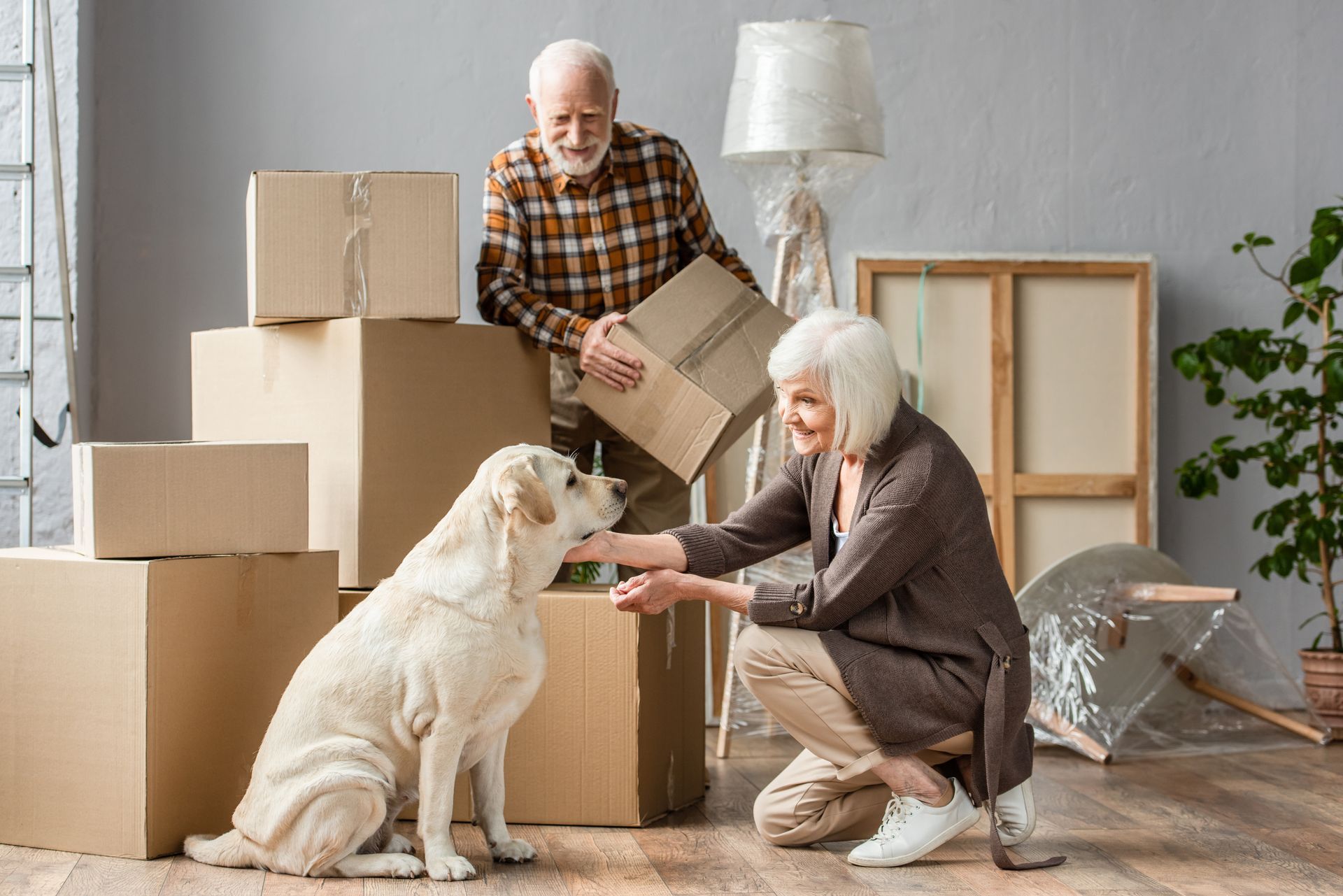 Senior couple and dog amid moving boxes, inside a home. Woman pets dog, man holds a box.