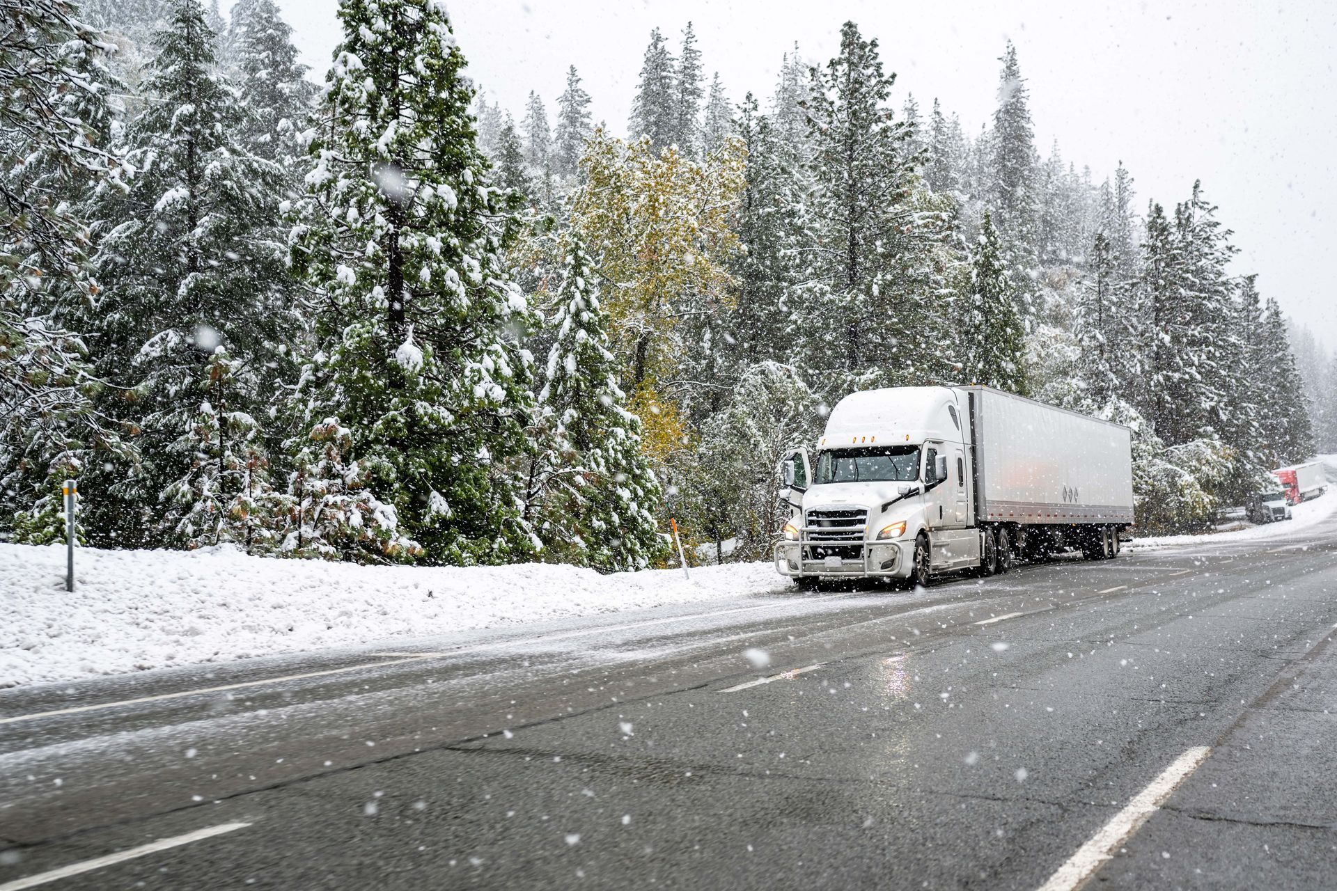 Semi-truck parked on a snowy road in a forest. Snow covers trees and the ground; it is overcast.