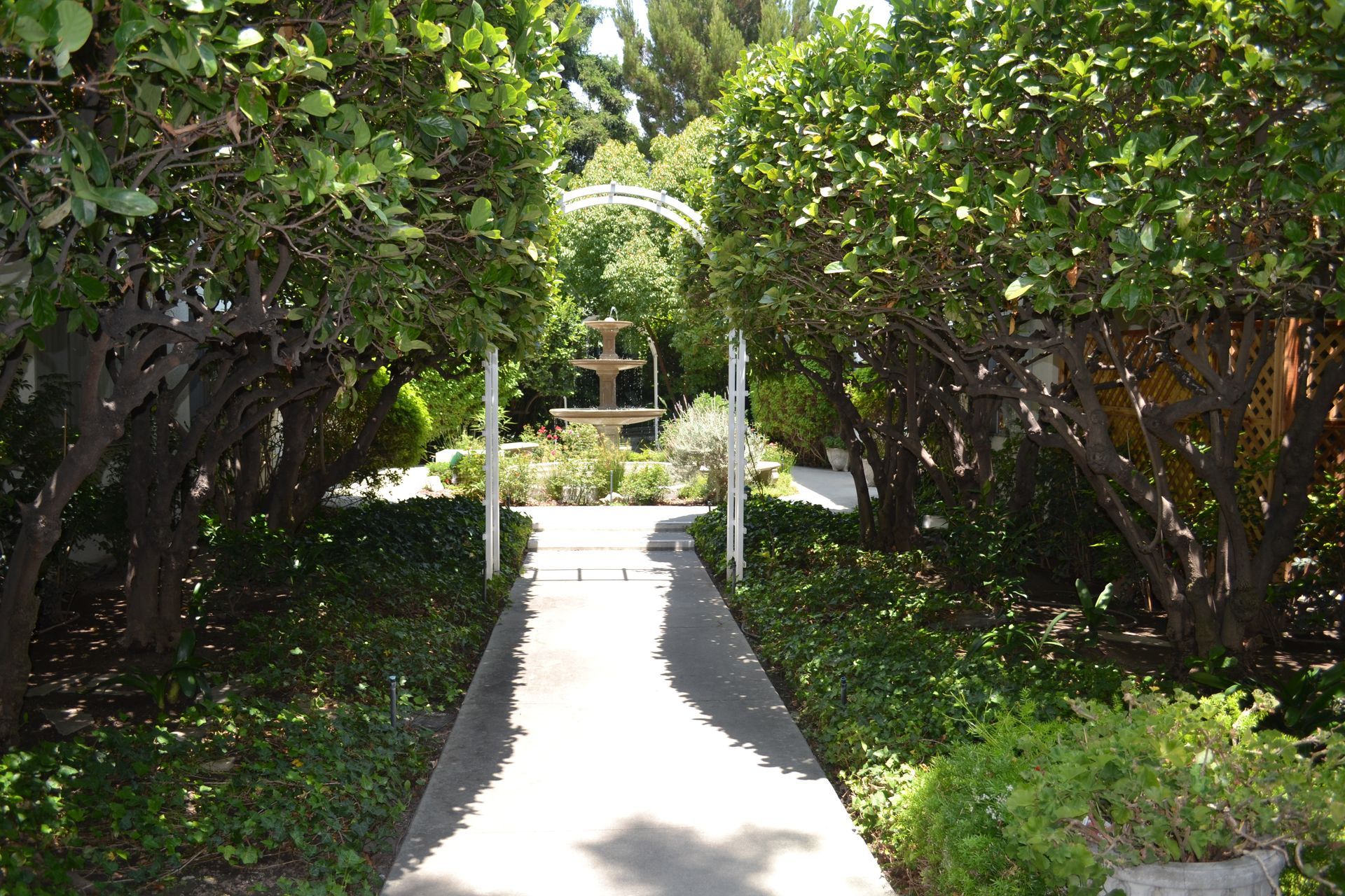 A path framed by trees leads through a white archway to a tiered stone fountain in a sunny, green garden.