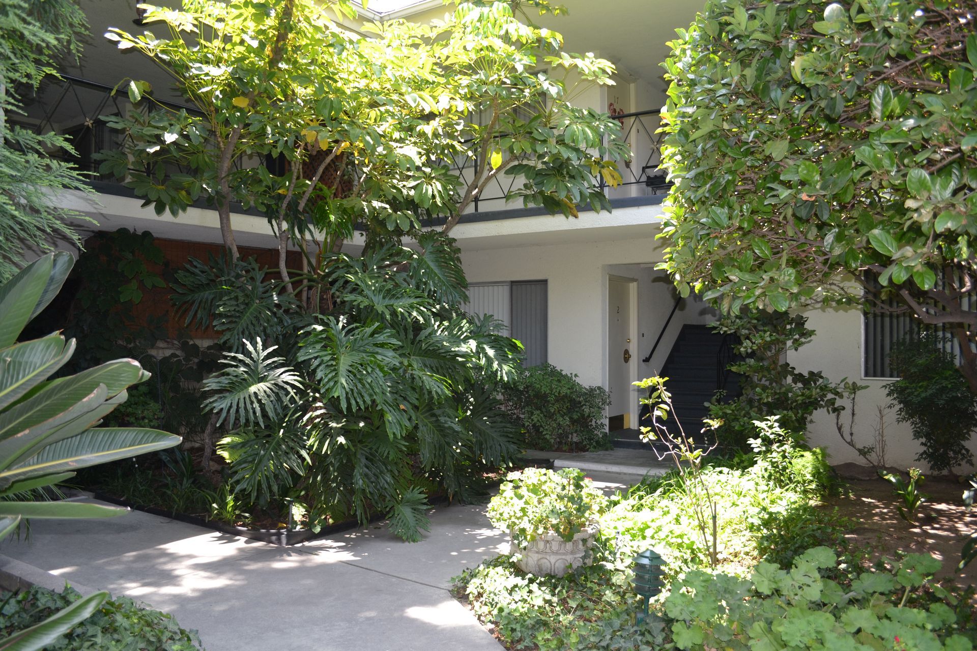Lush greenery and a large monstera plant frame a path leading to a white, two-story apartment building courtyard.