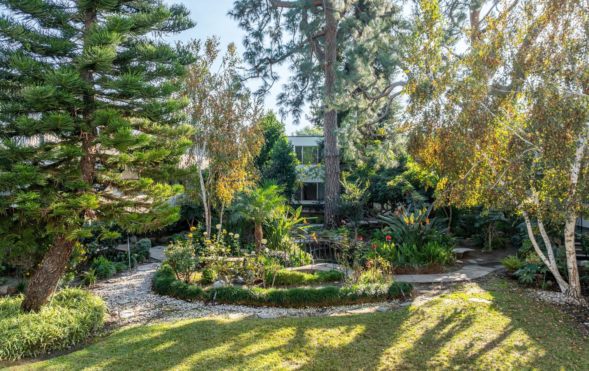 A lush, sunlit garden featuring a stone path, dense greenery, various trees, and a modern home visible in the distance.