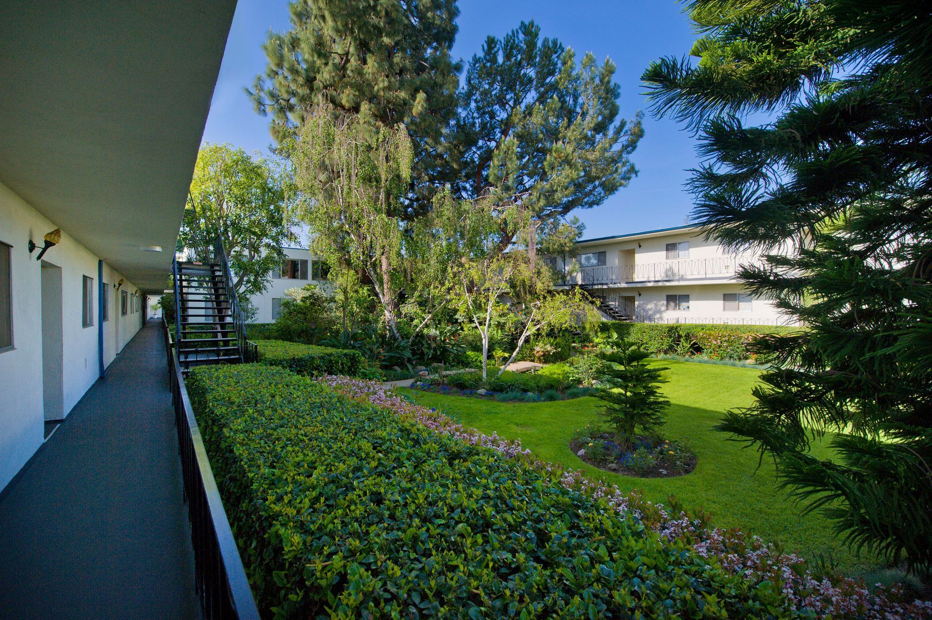 A sunny outdoor view of an apartment complex courtyard with green manicured hedges, a lawn, and mature trees.