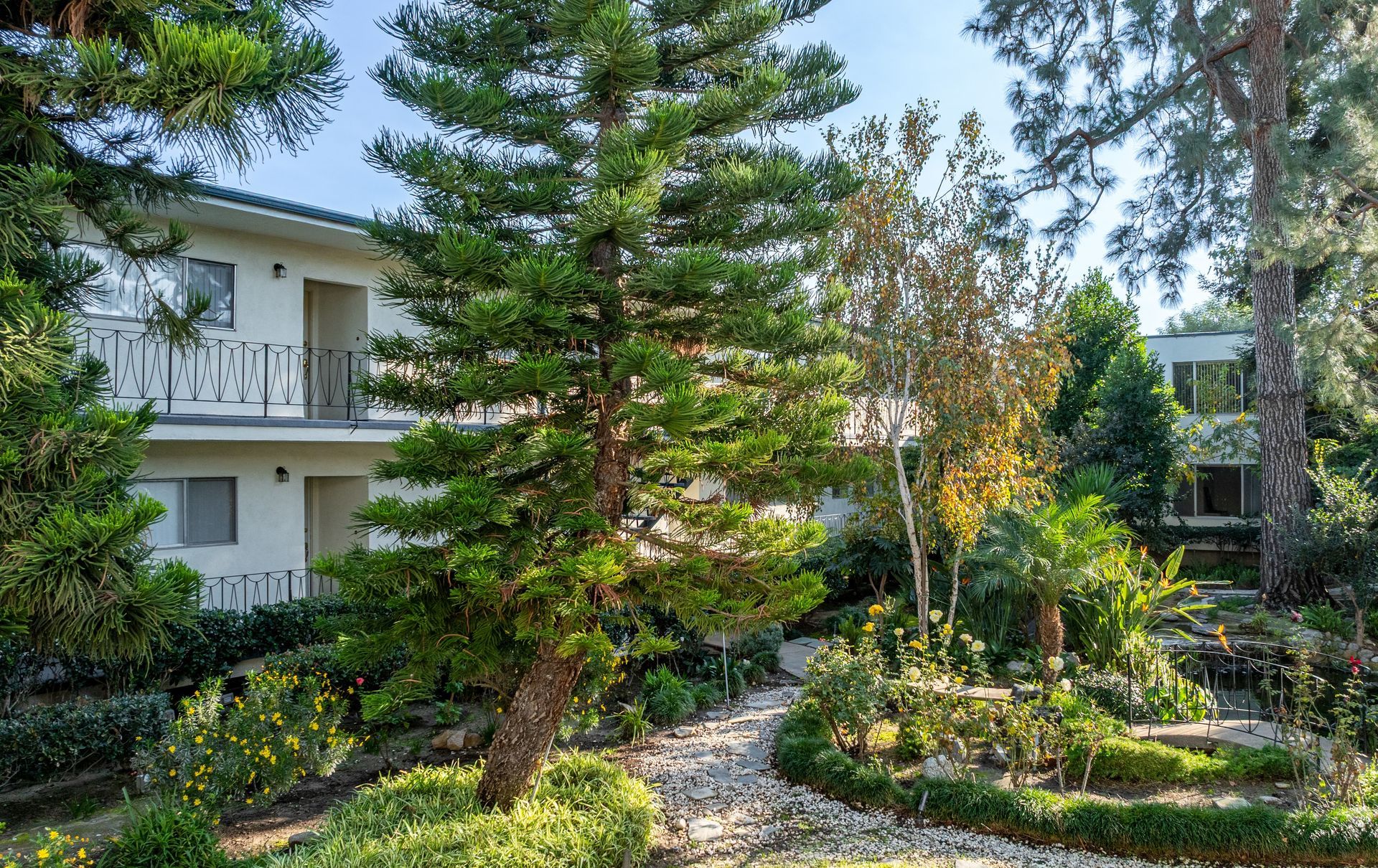 A gravel path winds through a lush, sunny garden between two-story residential buildings surrounded by evergreen trees.