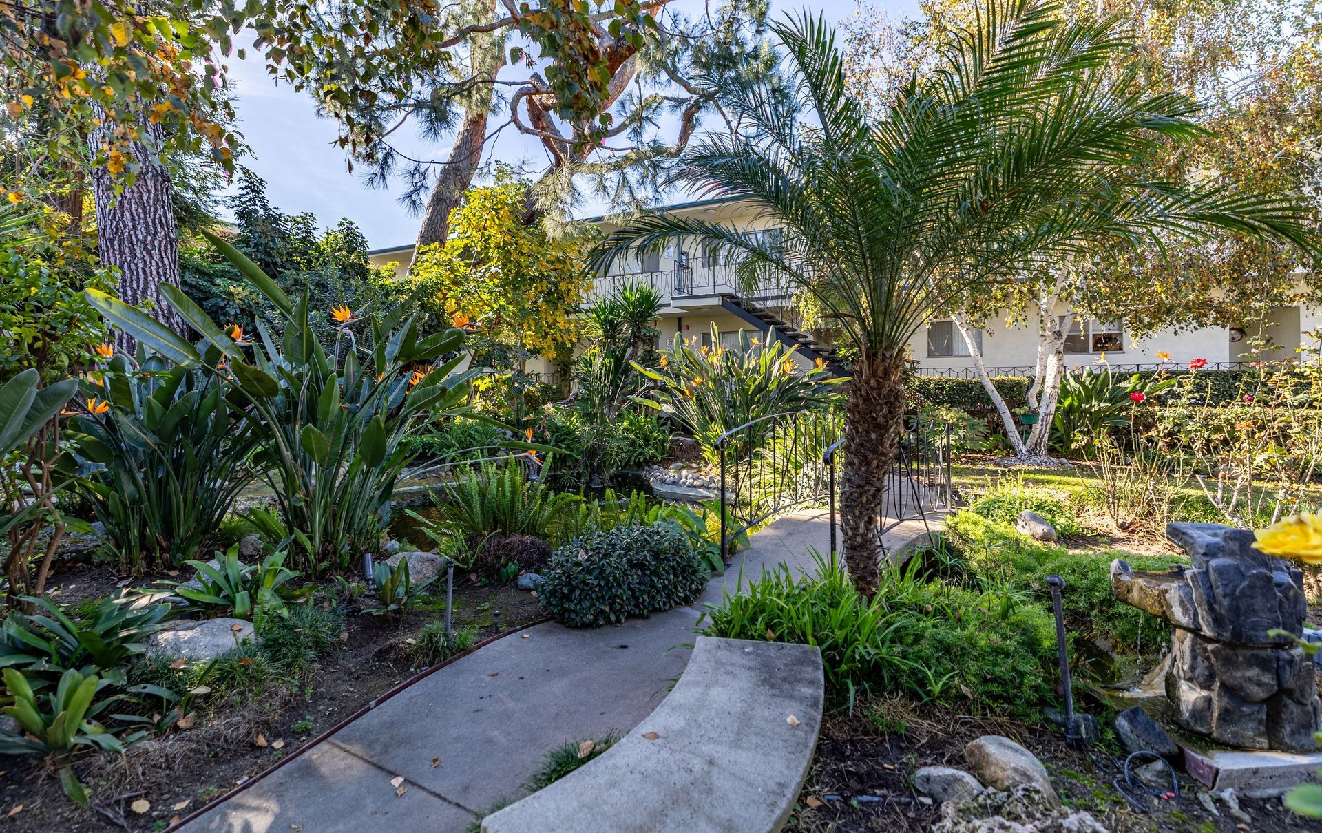 A concrete path winds through a lush, green garden featuring various tropical plants and a large palm tree.