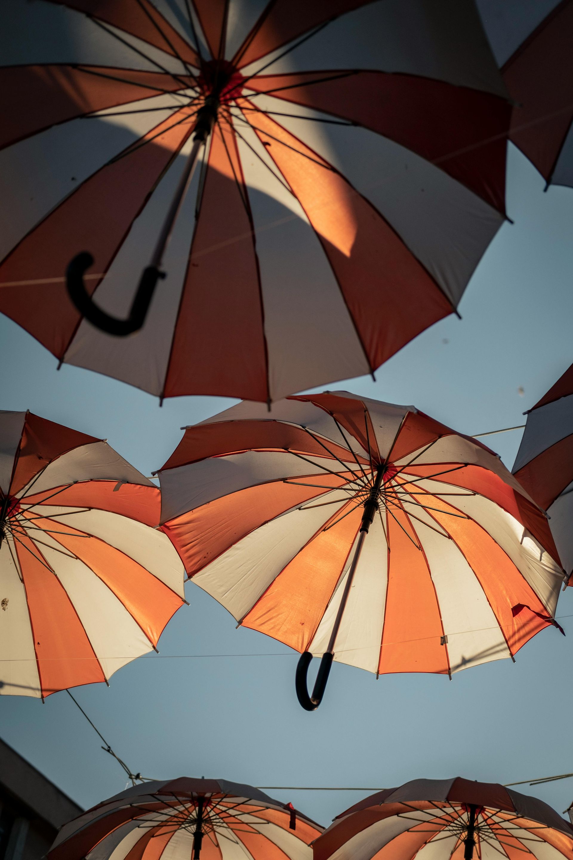 A bunch of colorful umbrellas