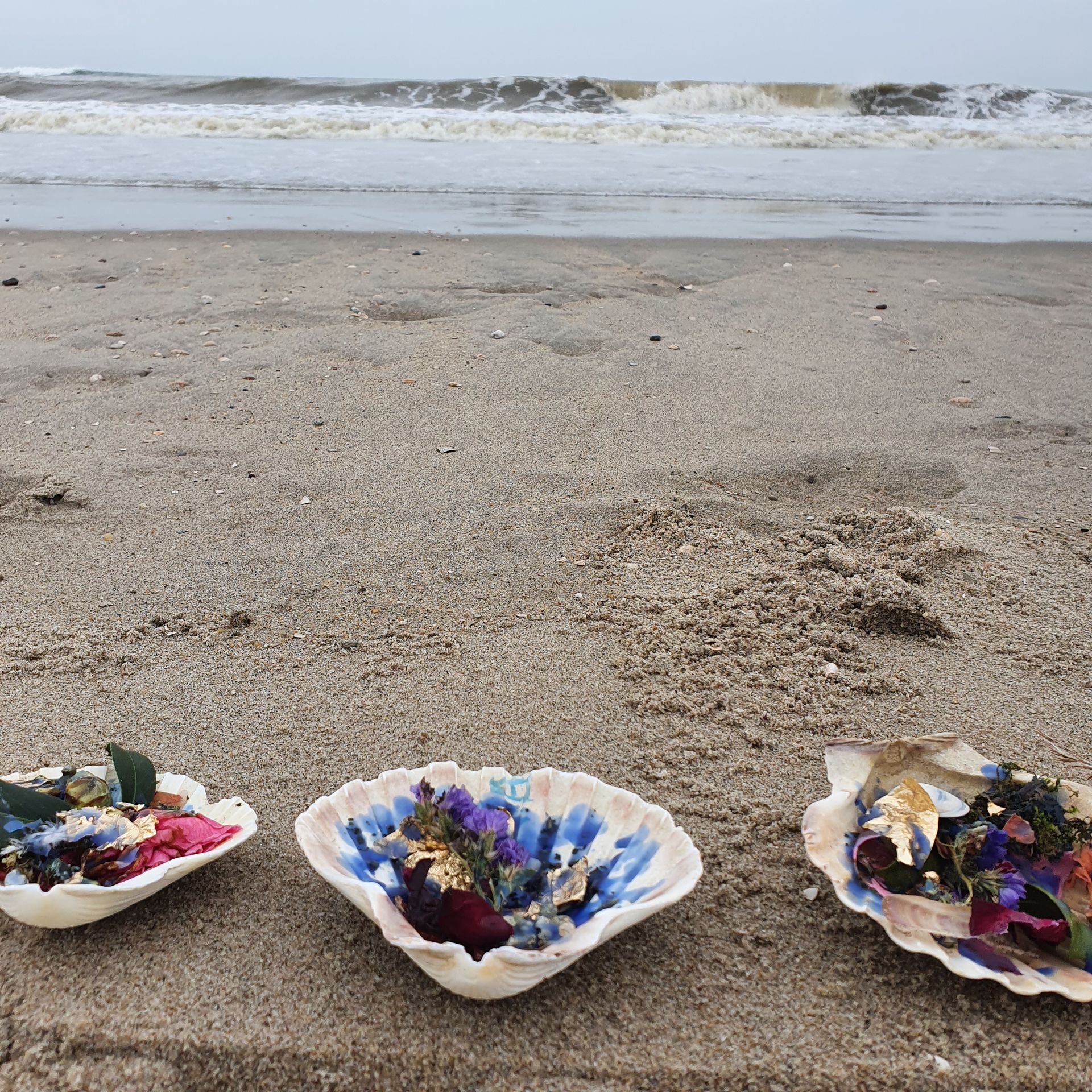 Drie schelpen gevuld met bloemen liggen op een zandstrand.