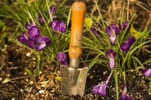 Herramientas para el cuidado de tu jardín