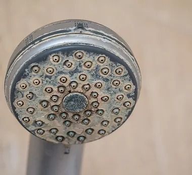 A close up of a dirty shower head with holes in it.