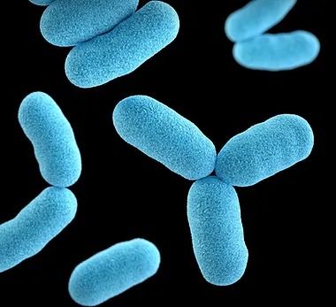 A close up of blue bacteria on a black background