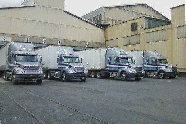 A row of semi trucks are parked in front of a building
