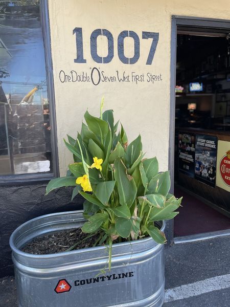 The entrance to 1007 West First Street with address painted on wall, potted plant and open doorway.