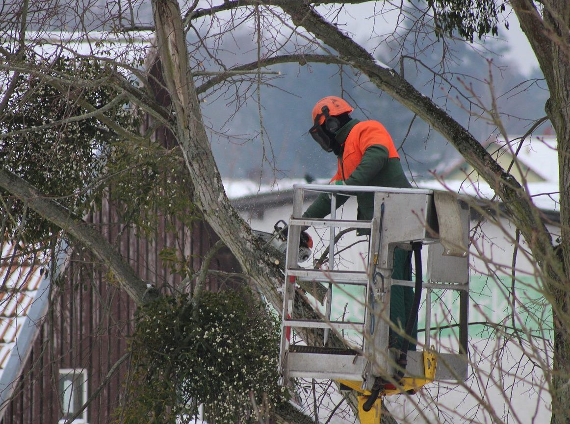 One of our professionals in a bucket truck with snowy weather around, clad in winter gear. He's performing emergency tree removal services for a homeowner in Providence RI